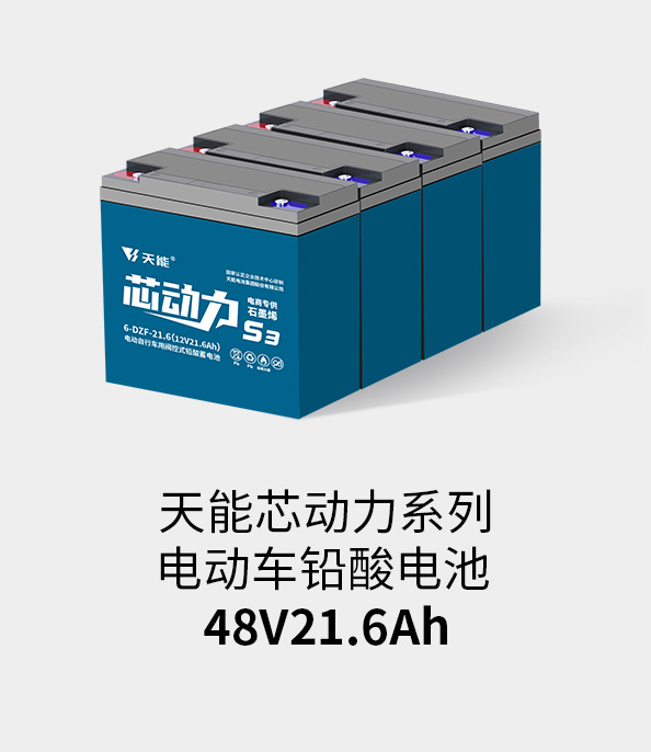 韦德1946电池48v20ah