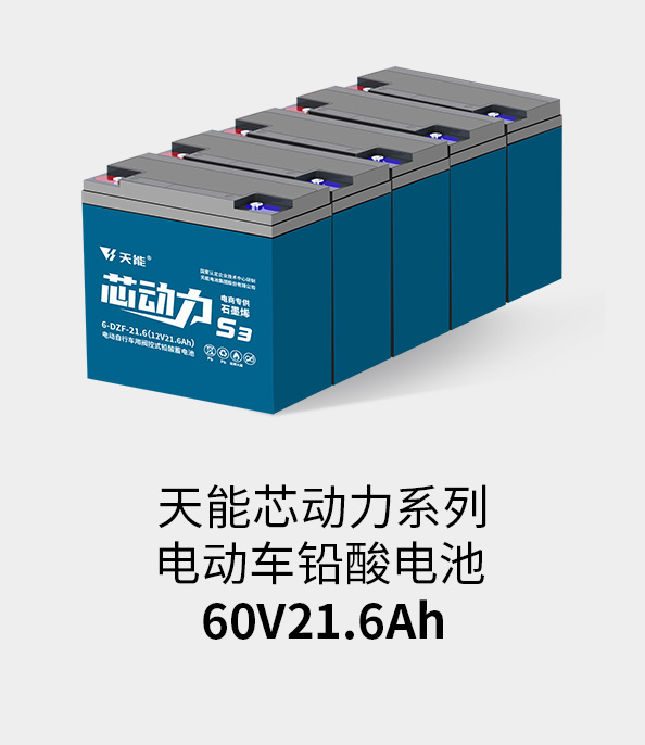 韦德1946电池60v20ah