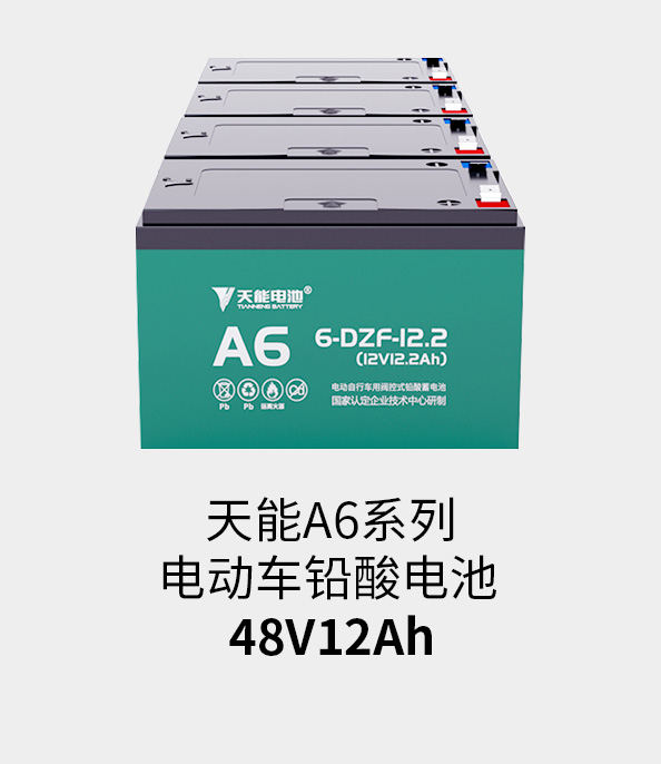 韦德1946电池48v12ah