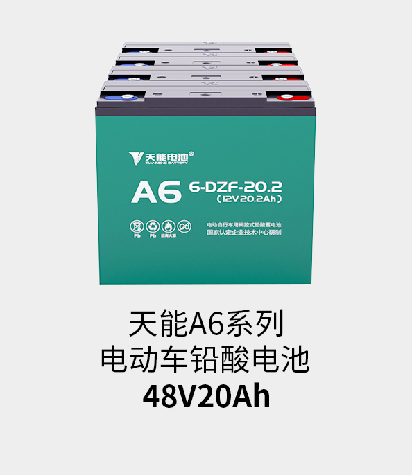 韦德1946电池48v20ah