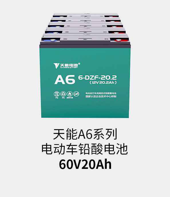 韦德1946电池60v20ah