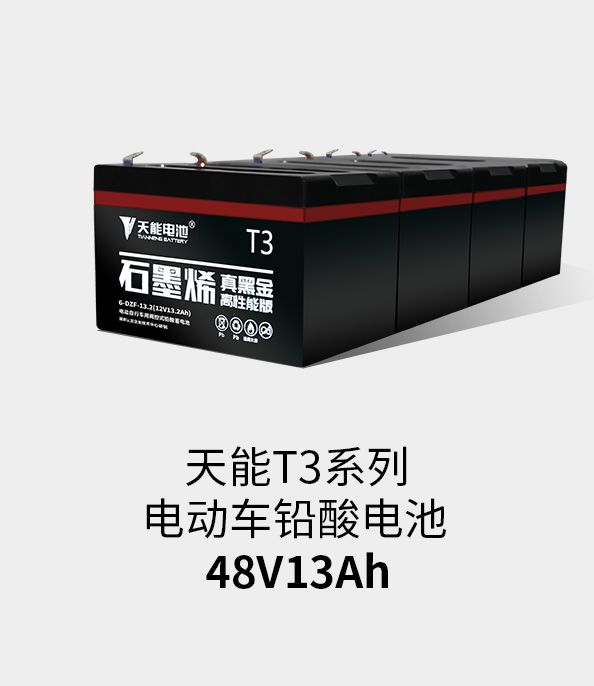 韦德1946T3系列48v13ah