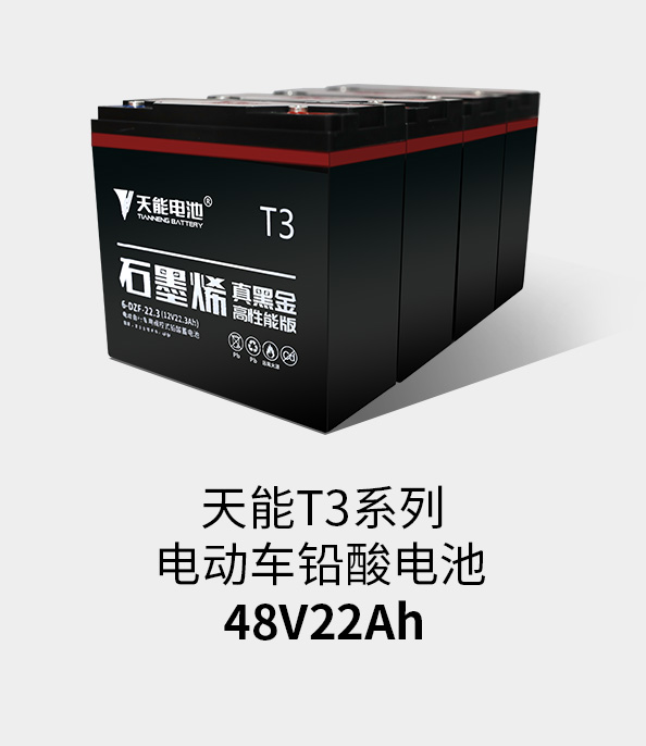 韦德1946T3系列48v22ah