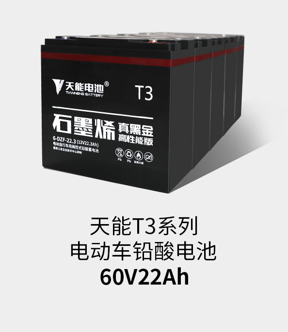 韦德1946T3系列60v22ah