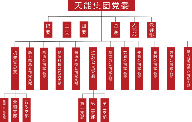 韦德1946建团党委组织架构